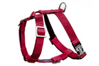 A dog harness BLOOM red by Bowlandbone on a white background.