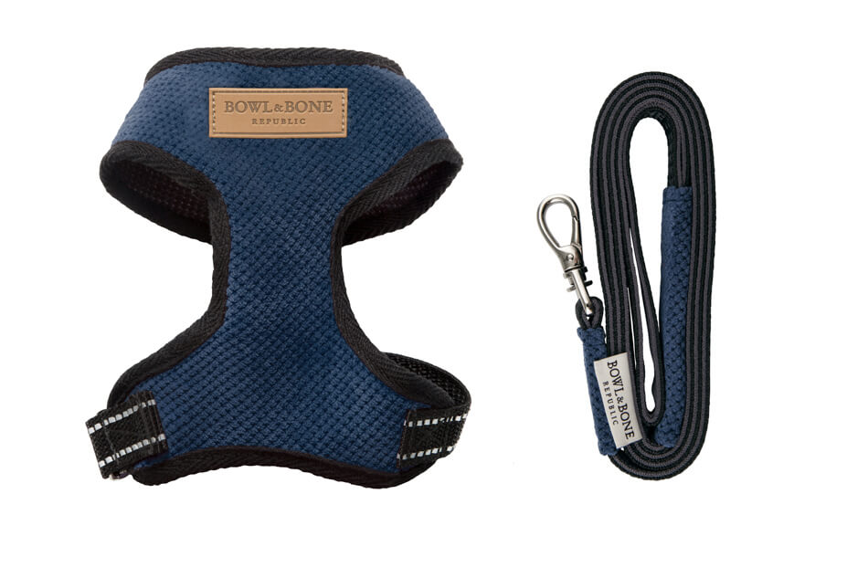 Bowl & Bone Republic dog harness and leash set in CANDY blue.