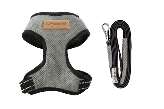 A Candy grey dog harness from Bowl&Bone Republic with a leash attached.