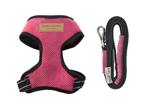 A Bowl&Bone Republic dog harness and leash set in CANDY pink.