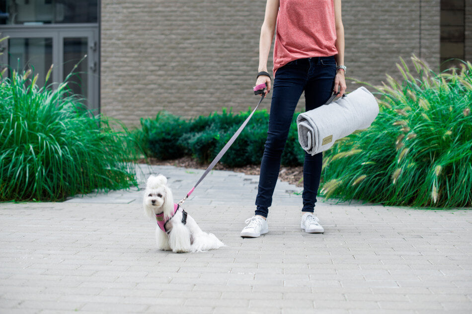 A woman walking her Bowlandbone dog mat LOFT grey on a leash.