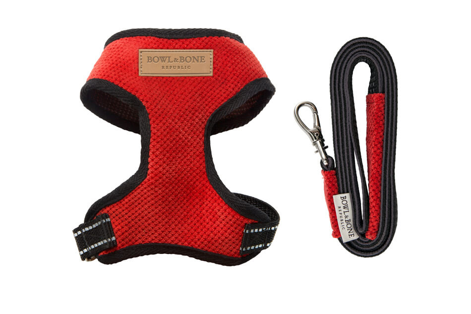 A dog harness and leash set by Bowl&Bone Republic.