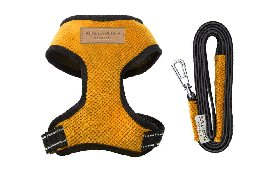 A yellow Bowl&Bone Republic dog harness with a leash.