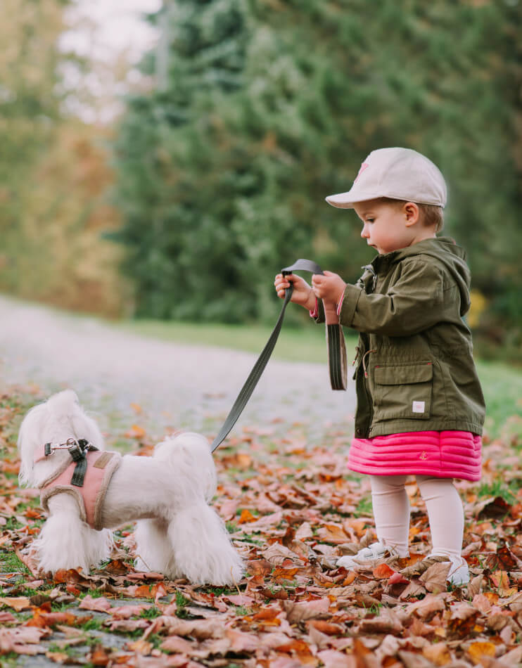A little girl with a Bowl&Bone Republic grey dog harness on a leash.