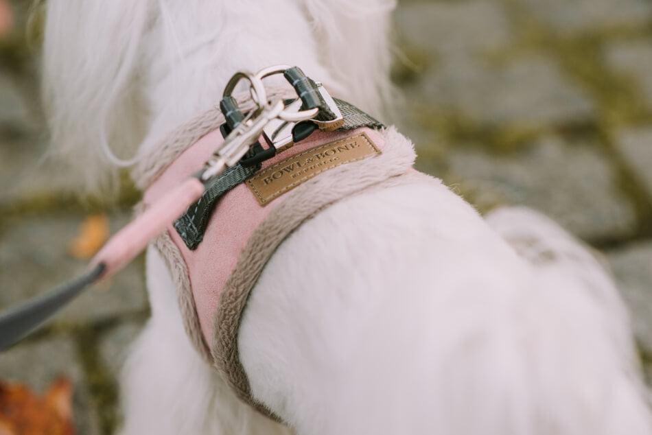 Bowl and sale bone harness