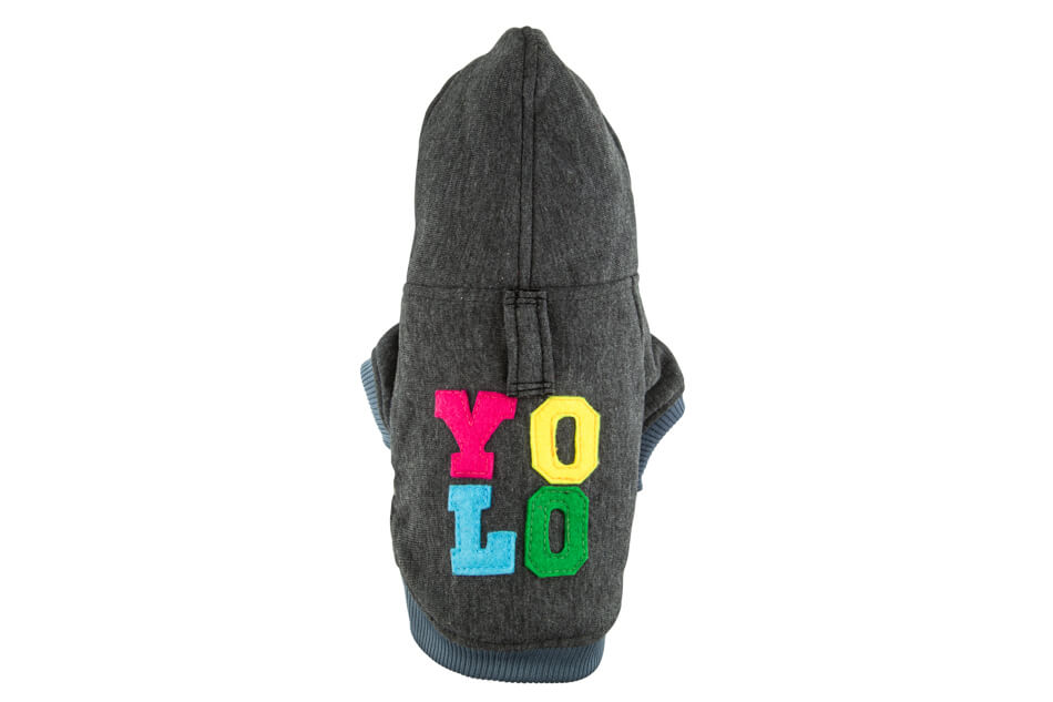 A Bowlandbone dog hoodie featuring the word YOLO, exclusively designed by Bowl&Bone Republic.