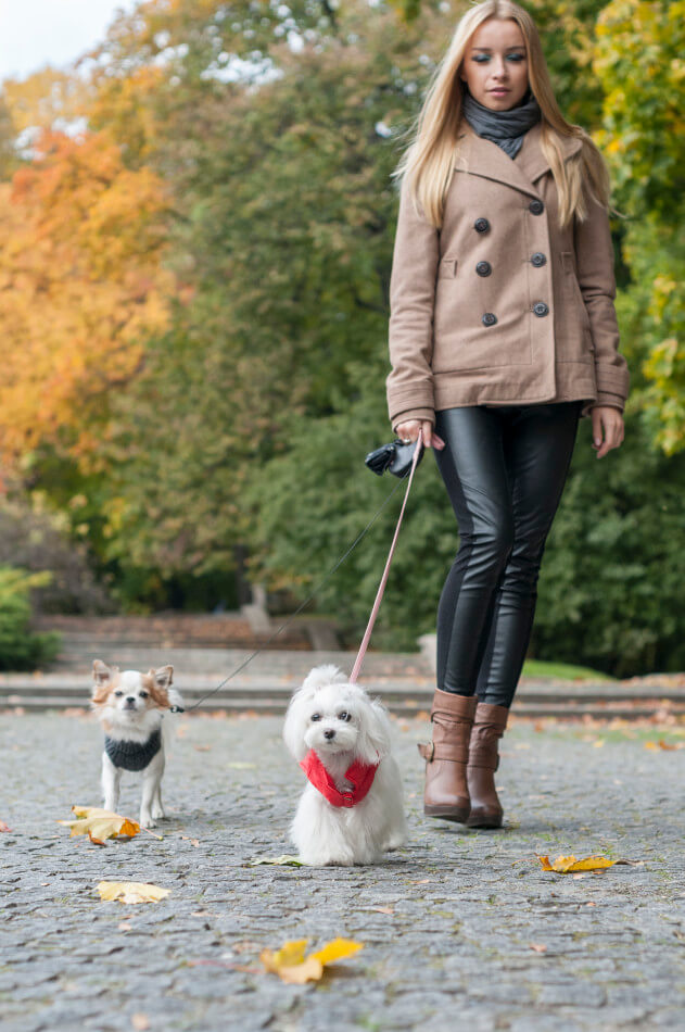 A woman walking her dog wearing a red Bowlandbone jacket in the park.