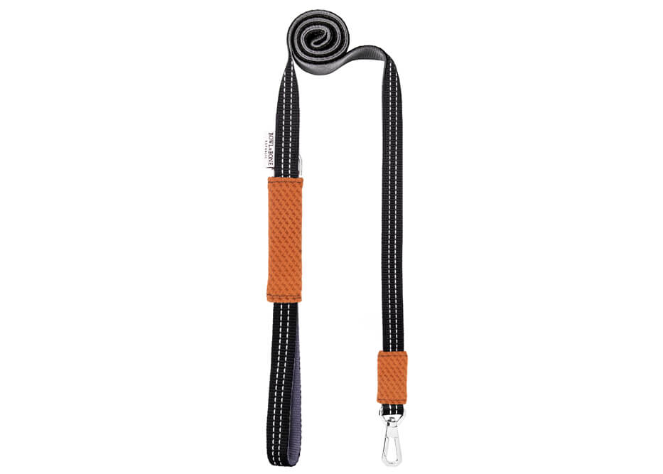 A Bowl&Bone Republic dog leash with a dog harness SOHO orange strap.