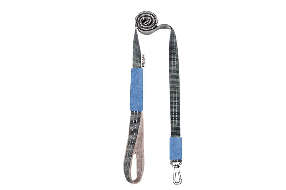 A Bowl&Bone Republic dog harness in YETI blue with a blue and gray strap.