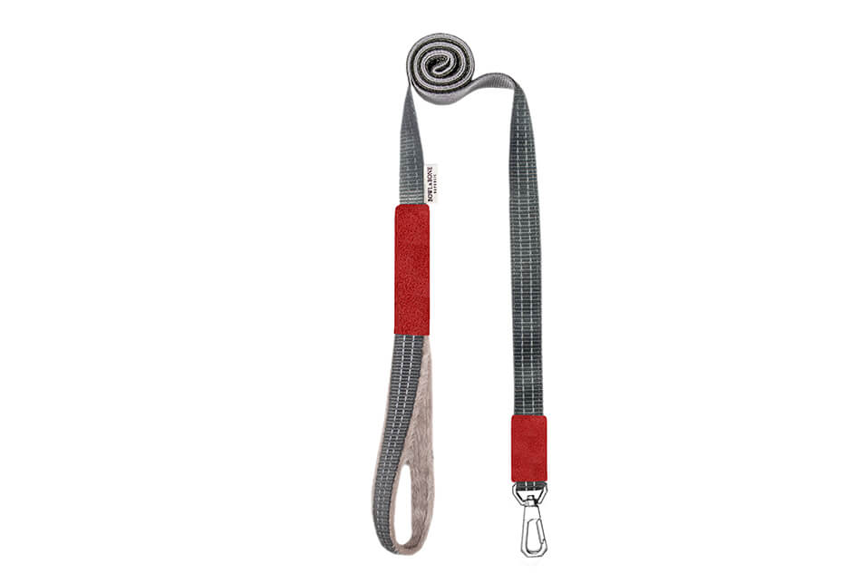 A Bowl&Bone Republic dog leash with a YETI red and grey handle.