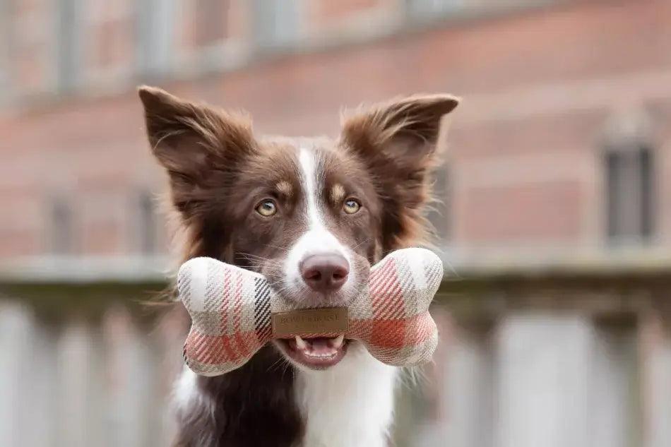 A Bowlandbone dog toy with a BONE in its mouth.