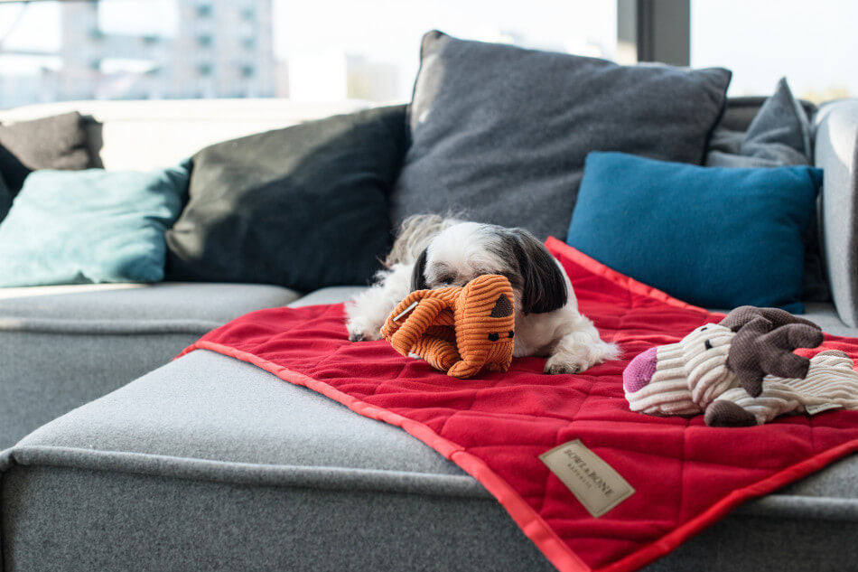 A Bowl&Bone Republic FLAMINGO dog toy laying on a red blanket with stuffed animals.
