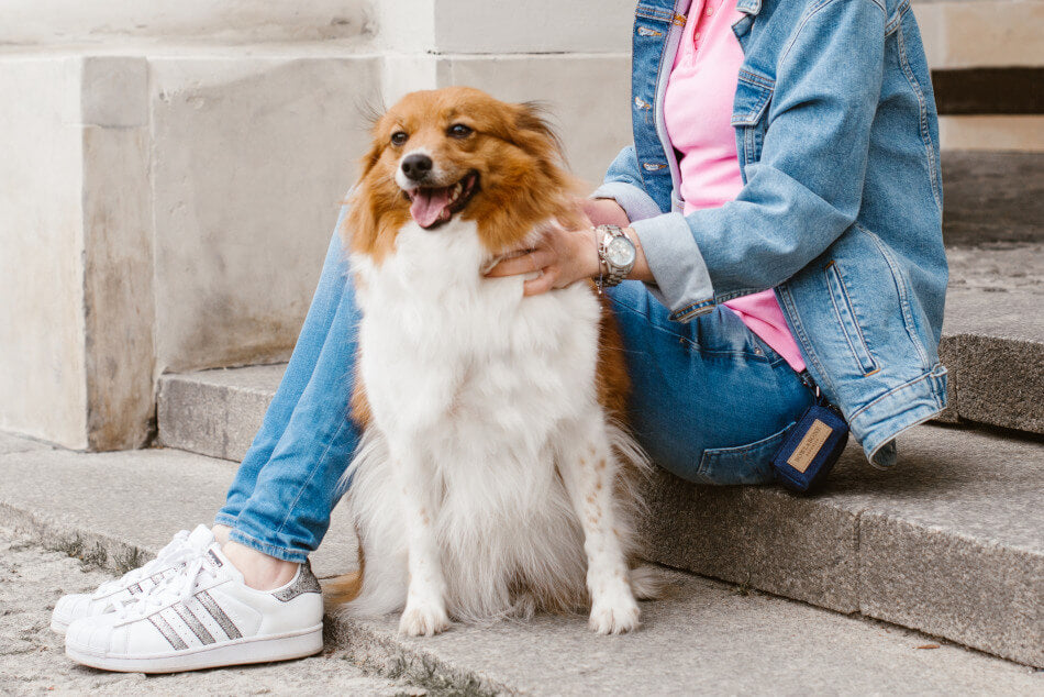 A woman with her Bowlandbone dog waste bag holder MINI navy, from Bowl&Bone Republic, sitting on the steps.
