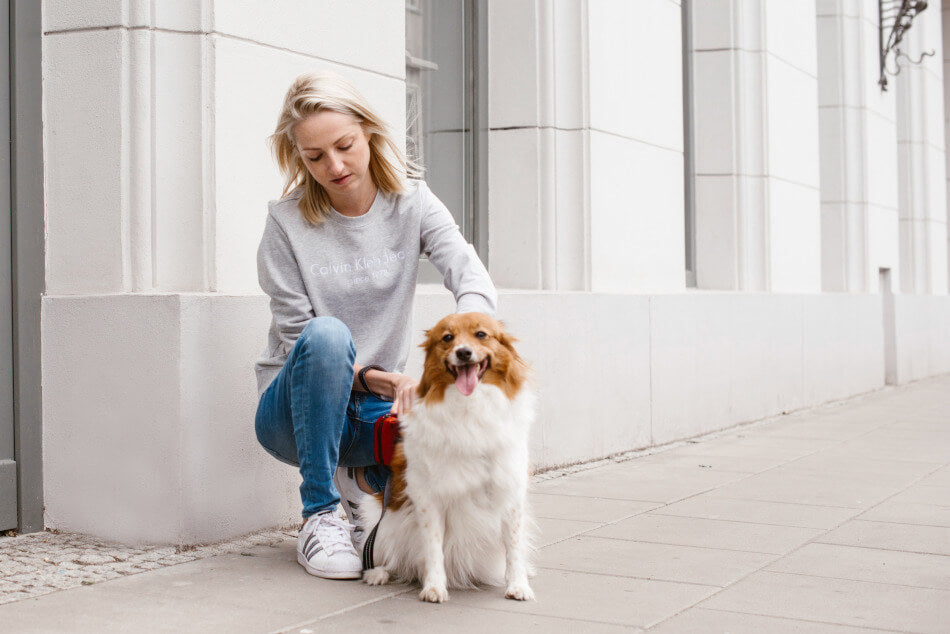 A woman petting her Bowlandbone MINI dog waste bag holder in black on the sidewalk.